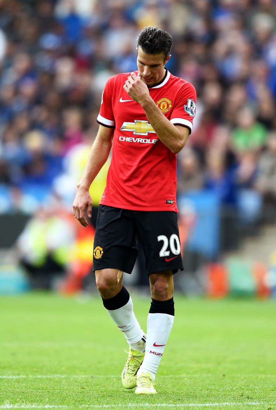 广东一夜3消息！杜锋或重返国家队，胡明轩遭围攻，徐杰沉冤得雪（广东一夜三大动态：杜锋或回归国家队，胡明轩遭质疑，徐杰洗清冤屈）