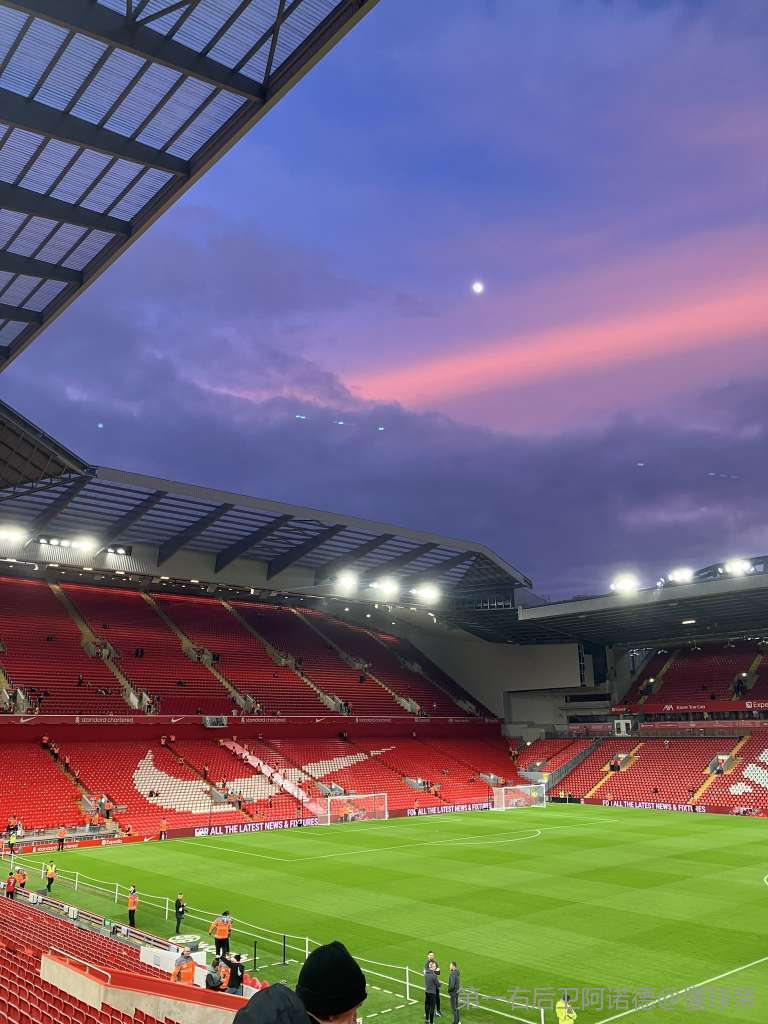 上海申花外援大发神威（上海申花外援大放异彩）